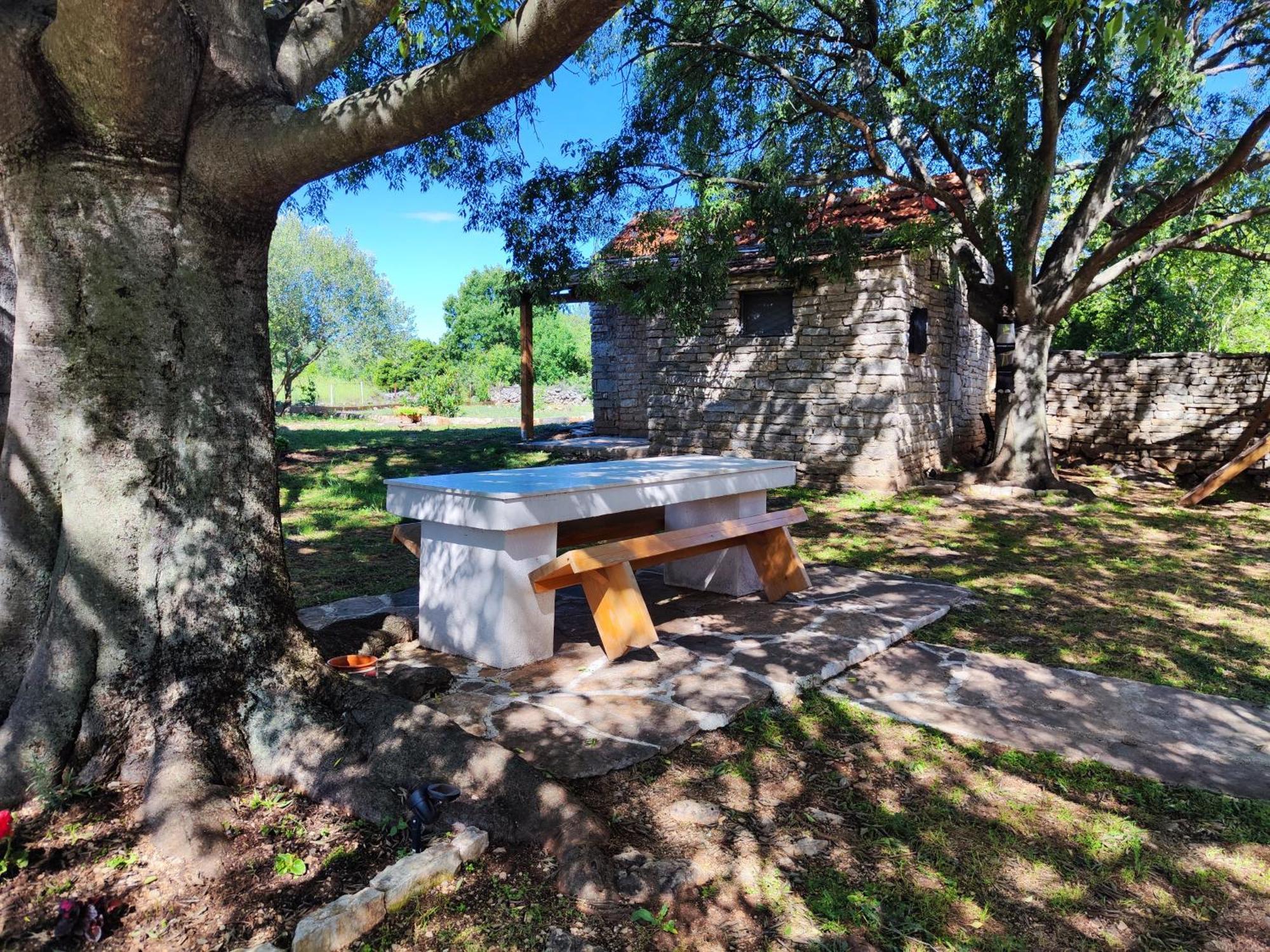 Villa Kuca Dida Jure Pridraga Exterior foto